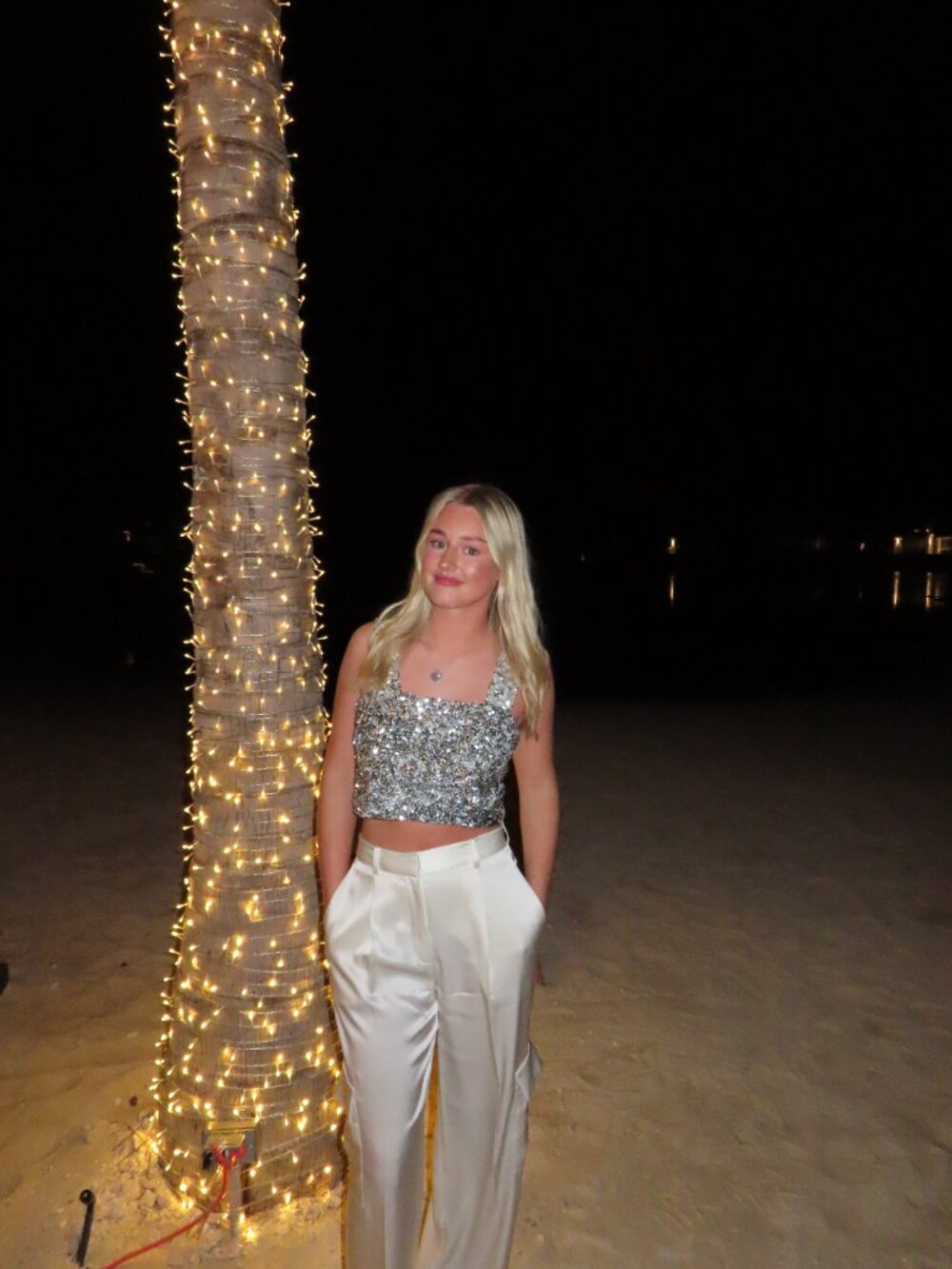 Aritzia silk pants